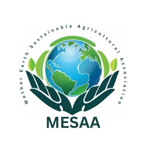 mesaa-africa.com